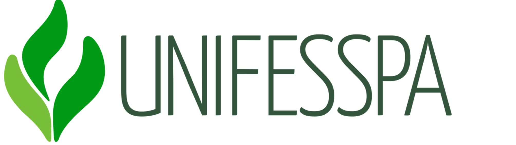 Logo Unifesspa