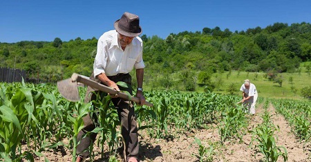 Agricultura familiar