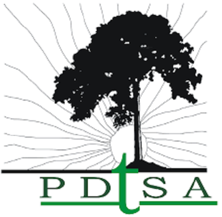 PDTSA