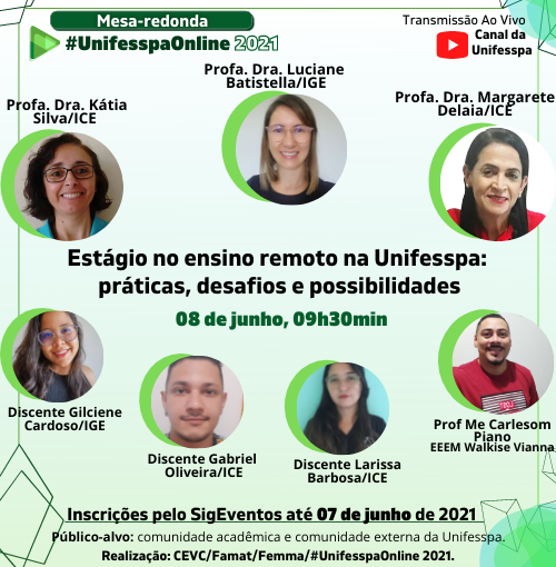 Cartaz Unifesspa Online 08 06
