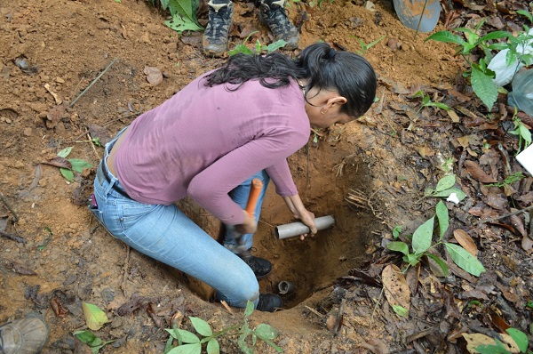 jandessa geologia 3