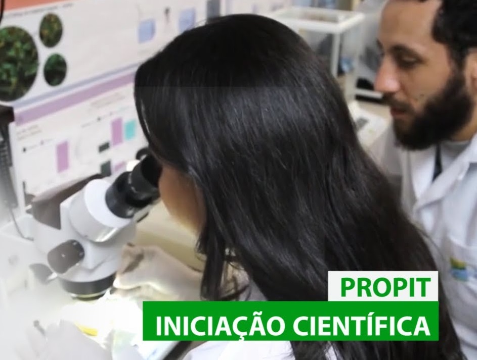 iniciacao cientifica