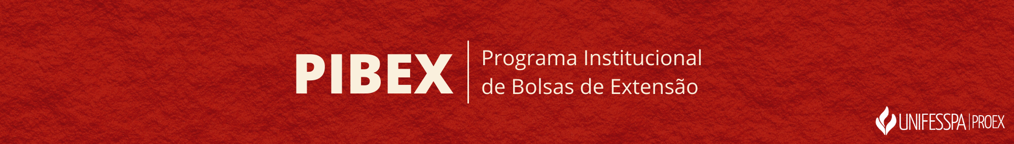 Programa Institucional de Bolsas de Extensão Universitária (PIBEX)