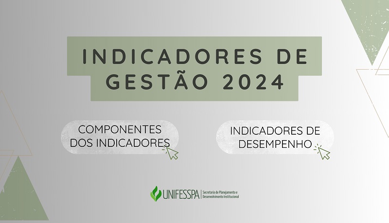 Indicadores de gestão Capa 2024