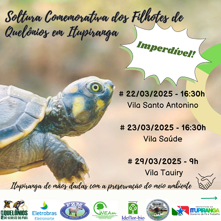 Unificado
